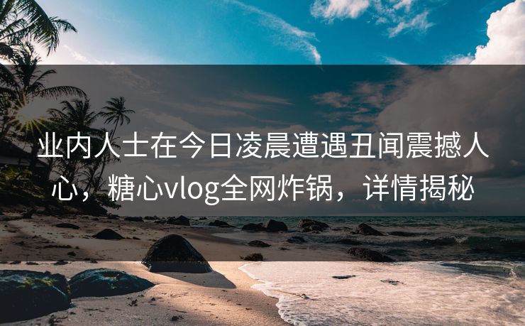 业内人士在今日凌晨遭遇丑闻震撼人心，糖心vlog全网炸锅，详情揭秘