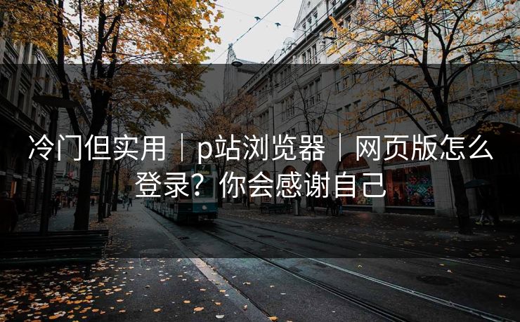 冷门但实用｜p站浏览器｜网页版怎么登录？你会感谢自己